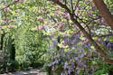 jardin_4